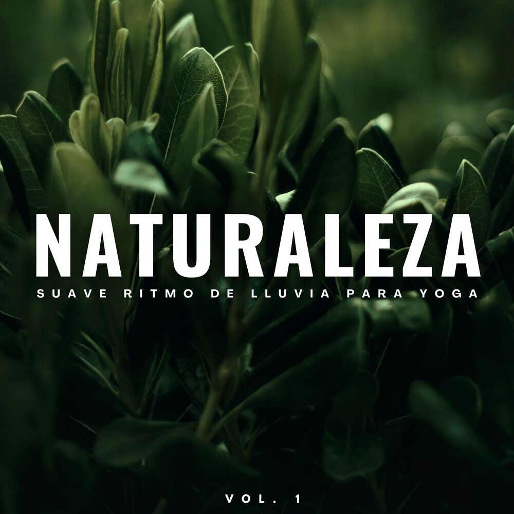 Picture of Naturaleza: Suave Ritmo De Lluvia Para Yoga Vol. 1