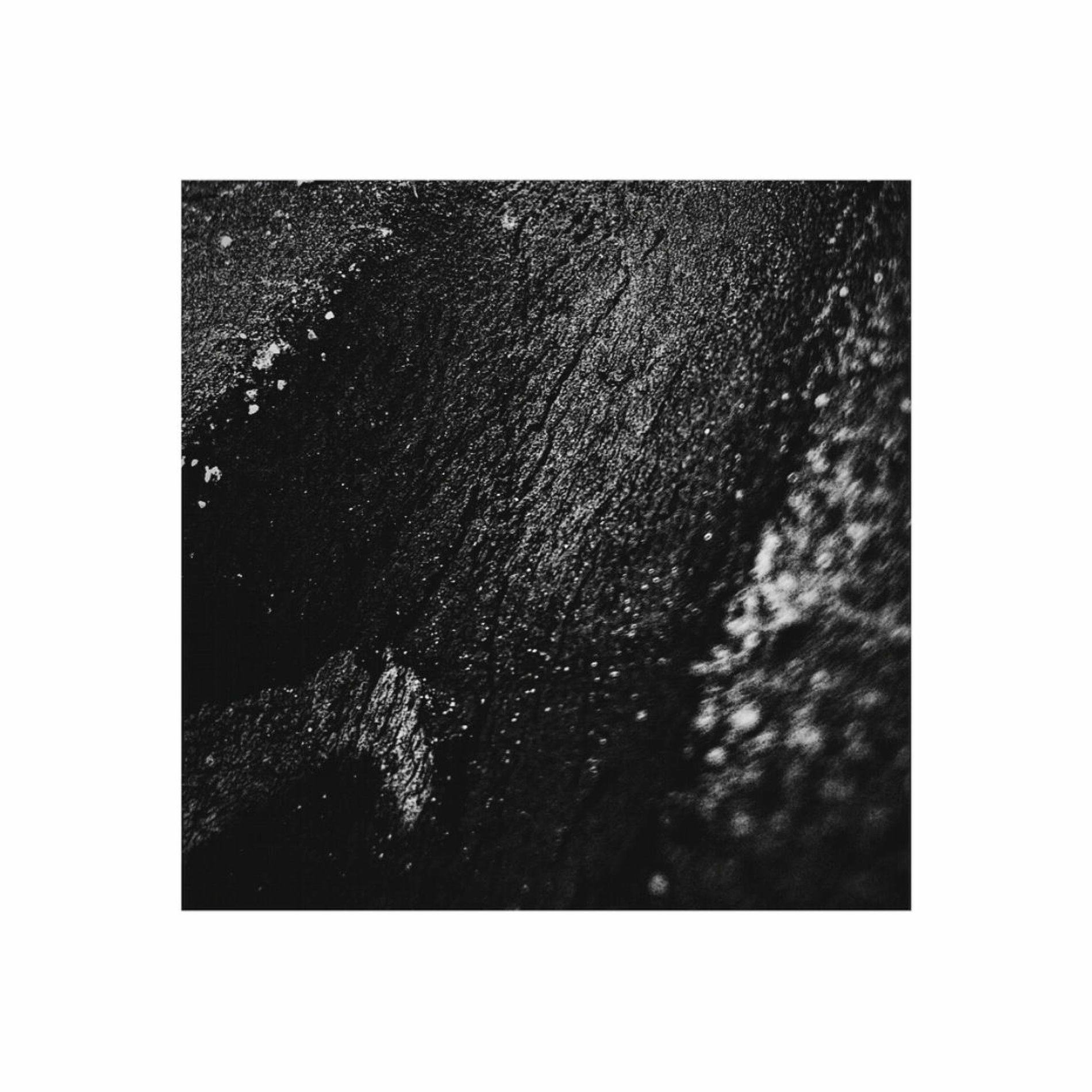 Album cover of wreck (feat. Dyzphoria)