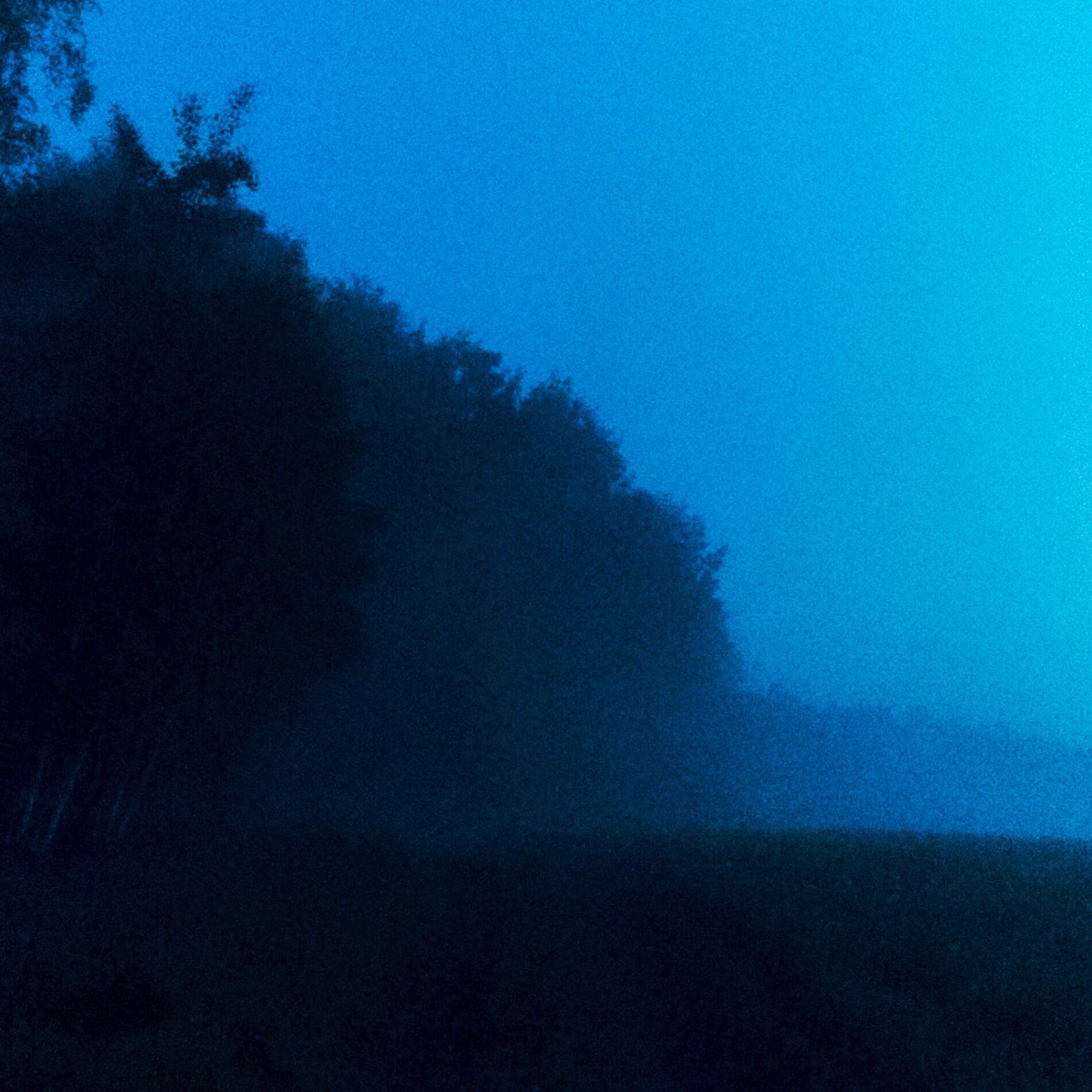 Album cover of haze