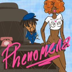 Cover of Phenomena