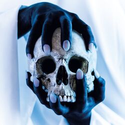 Cover of Possessor