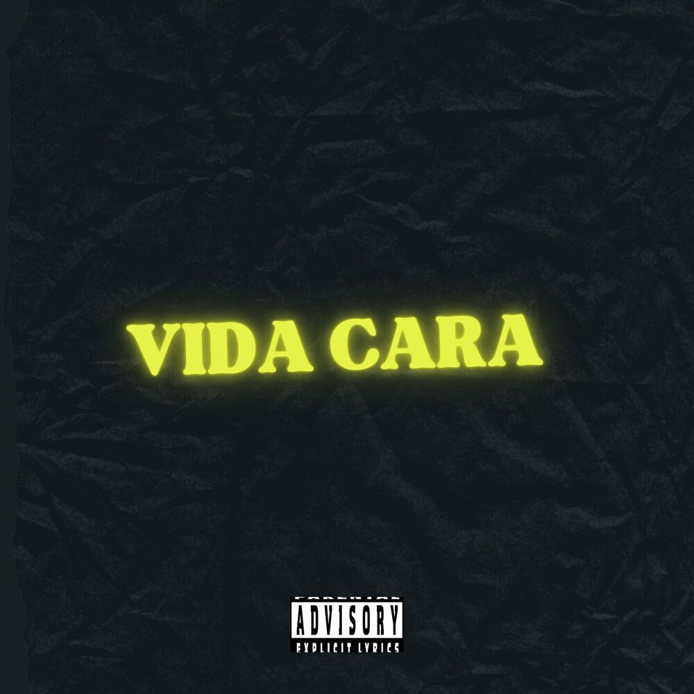 Picture of Vida cara