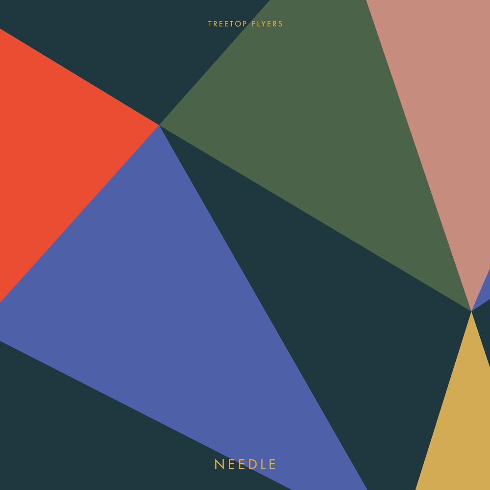 Picture of Needle