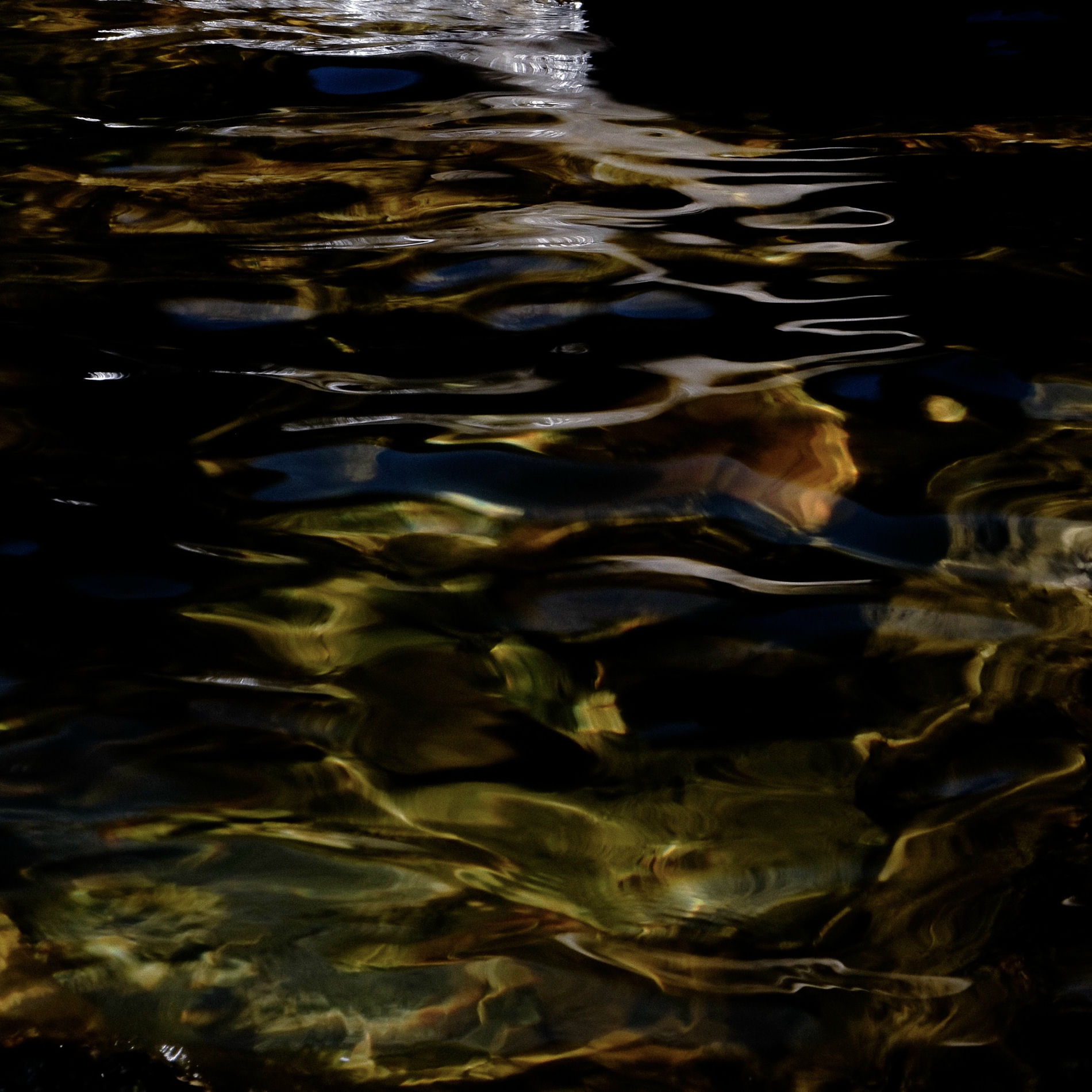 Album cover of River