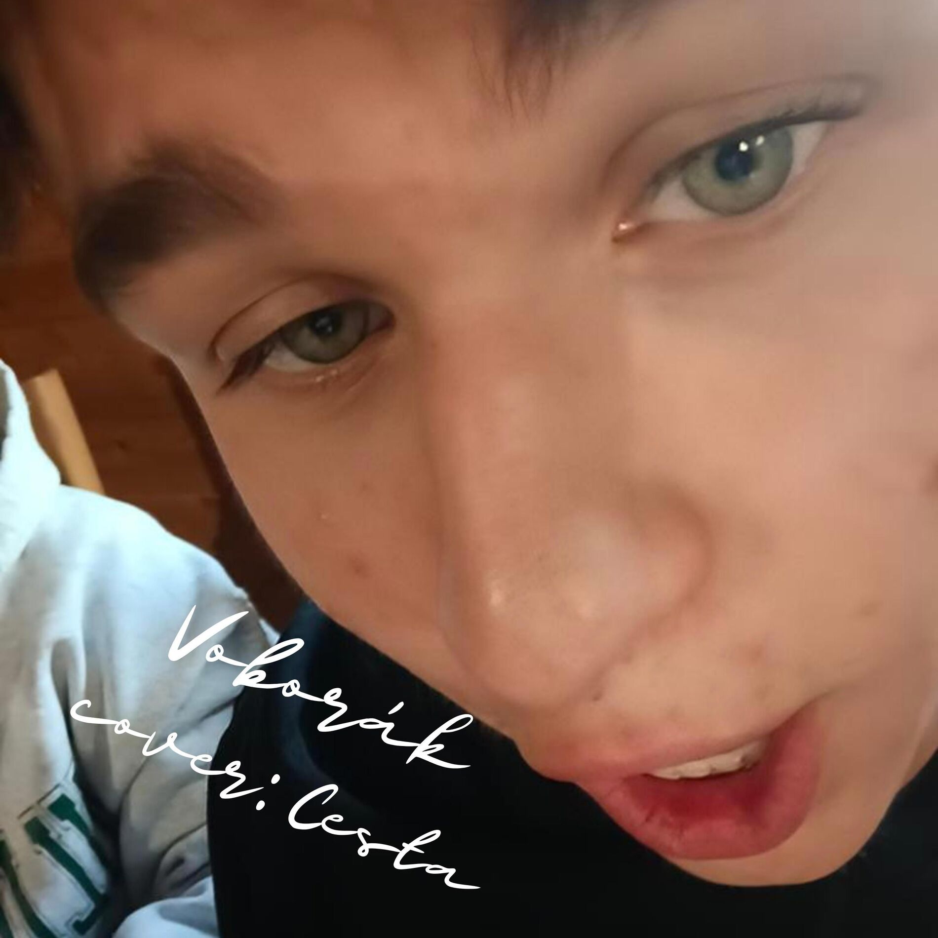 Album cover of Cesta (feat. SIMON)