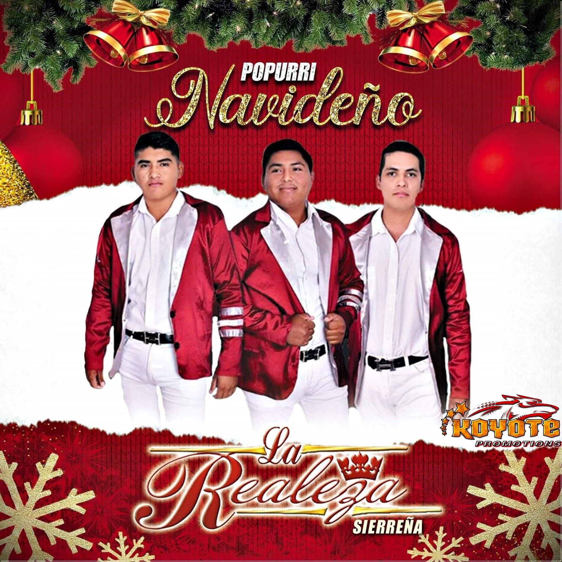 Album cover of Popurri Navideño