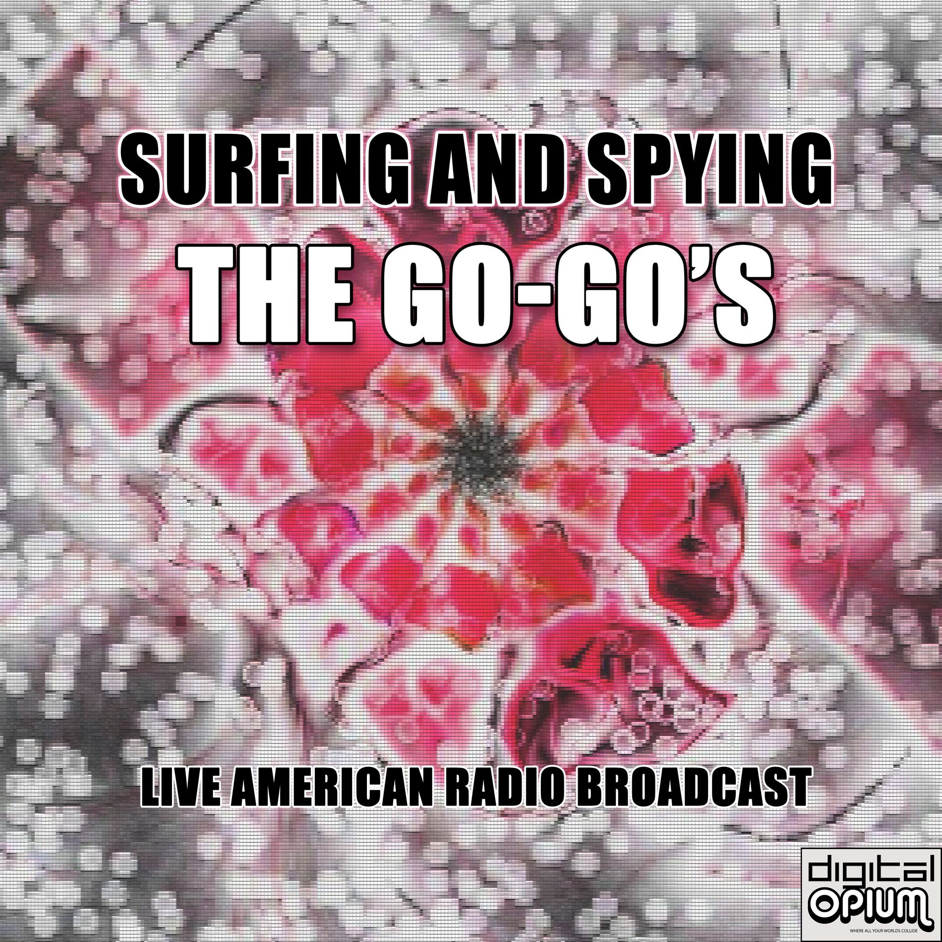 Album cover of Surfing and Spying (Live)
