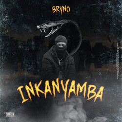 Cover of iNkanyamba