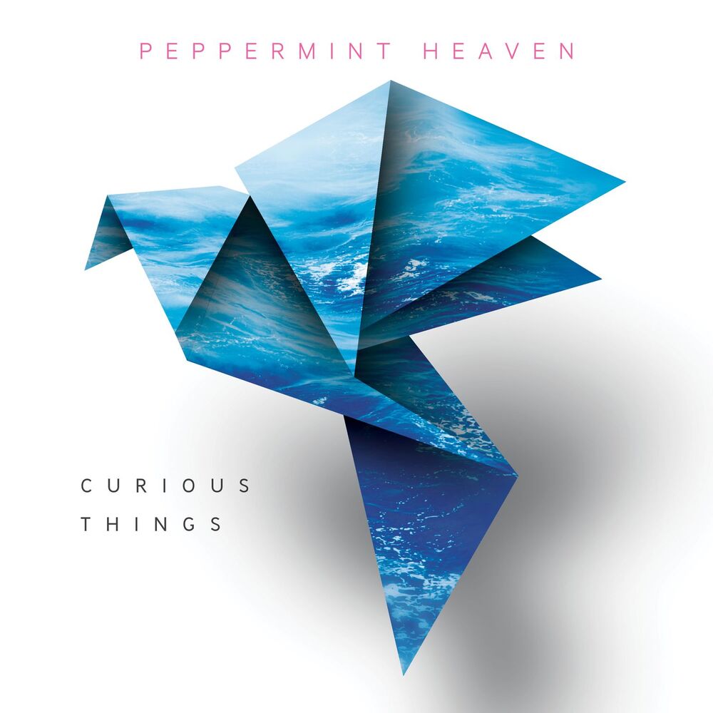 Picture of Curious Things