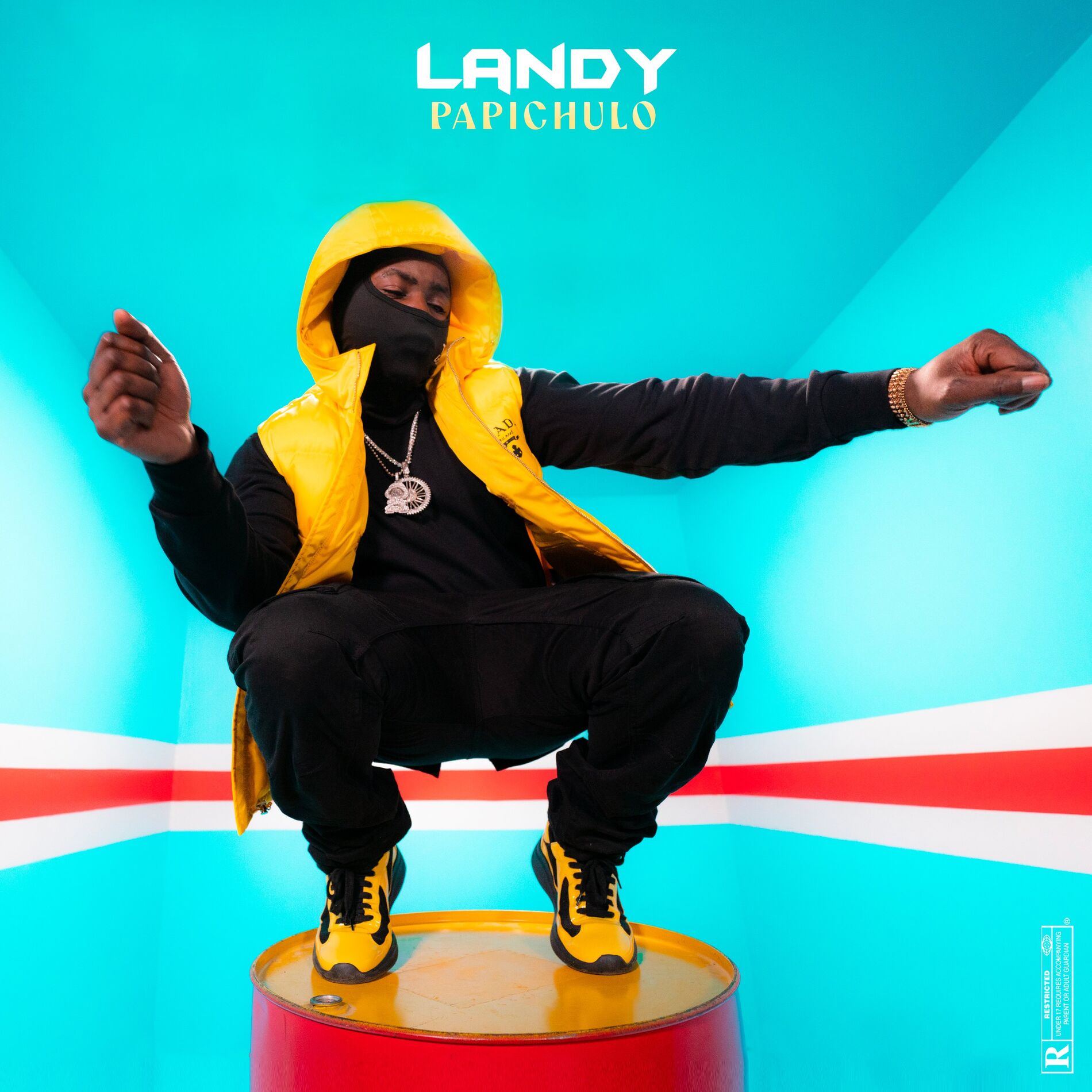 Album cover of Papi Chulo