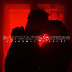 Cover of Schwarz oder Weiss