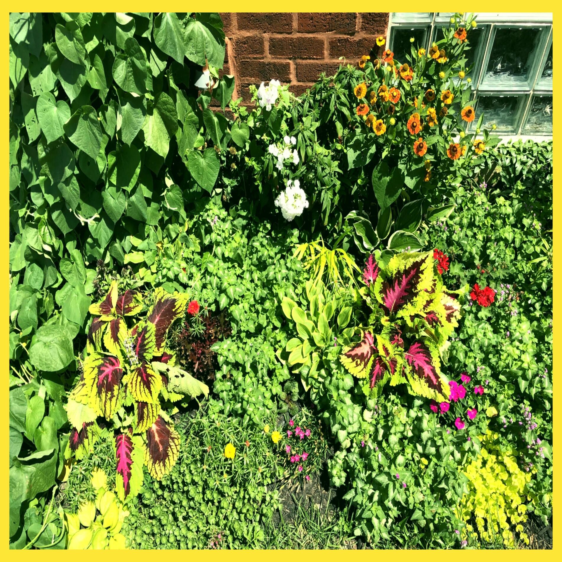 Album cover of The Art of Gardening (Remember your Light)