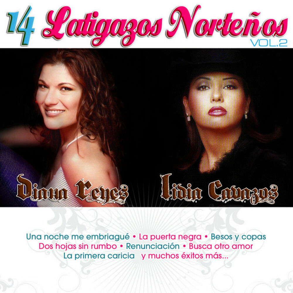 Picture of 14 Latigazos Norteños Vol. 2
