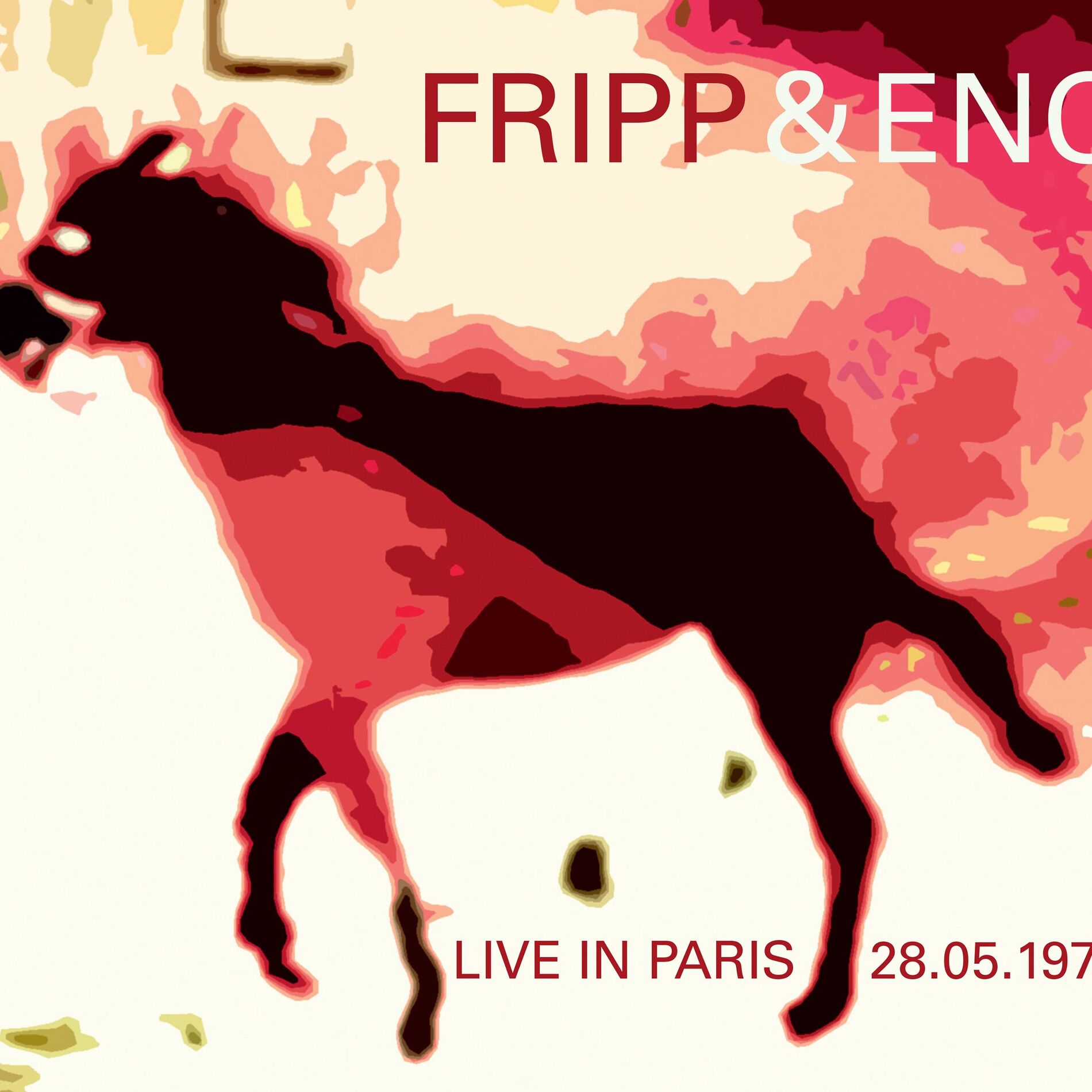 Album cover of LIVE IN PARIS 28.05.1975