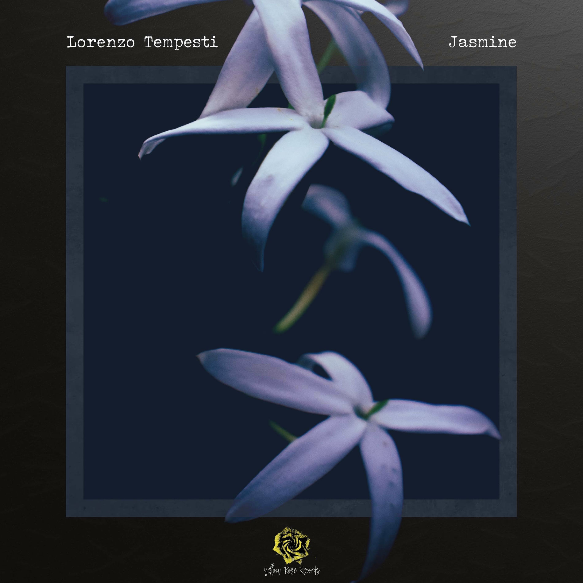 Album cover of Jasmine