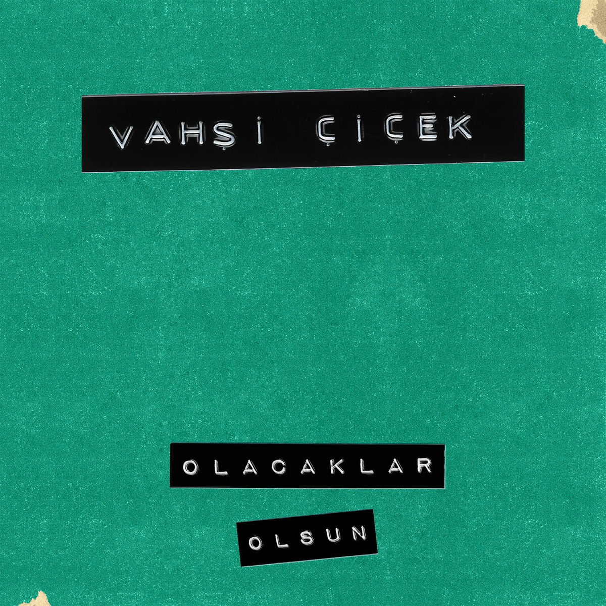 Album cover of Olacaklar Olsun