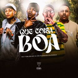 Cover of Que Coisa Boa