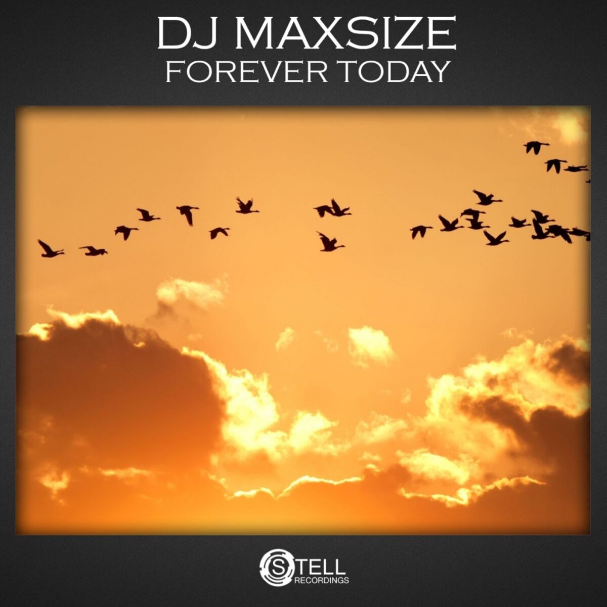 Album cover of Forever Today