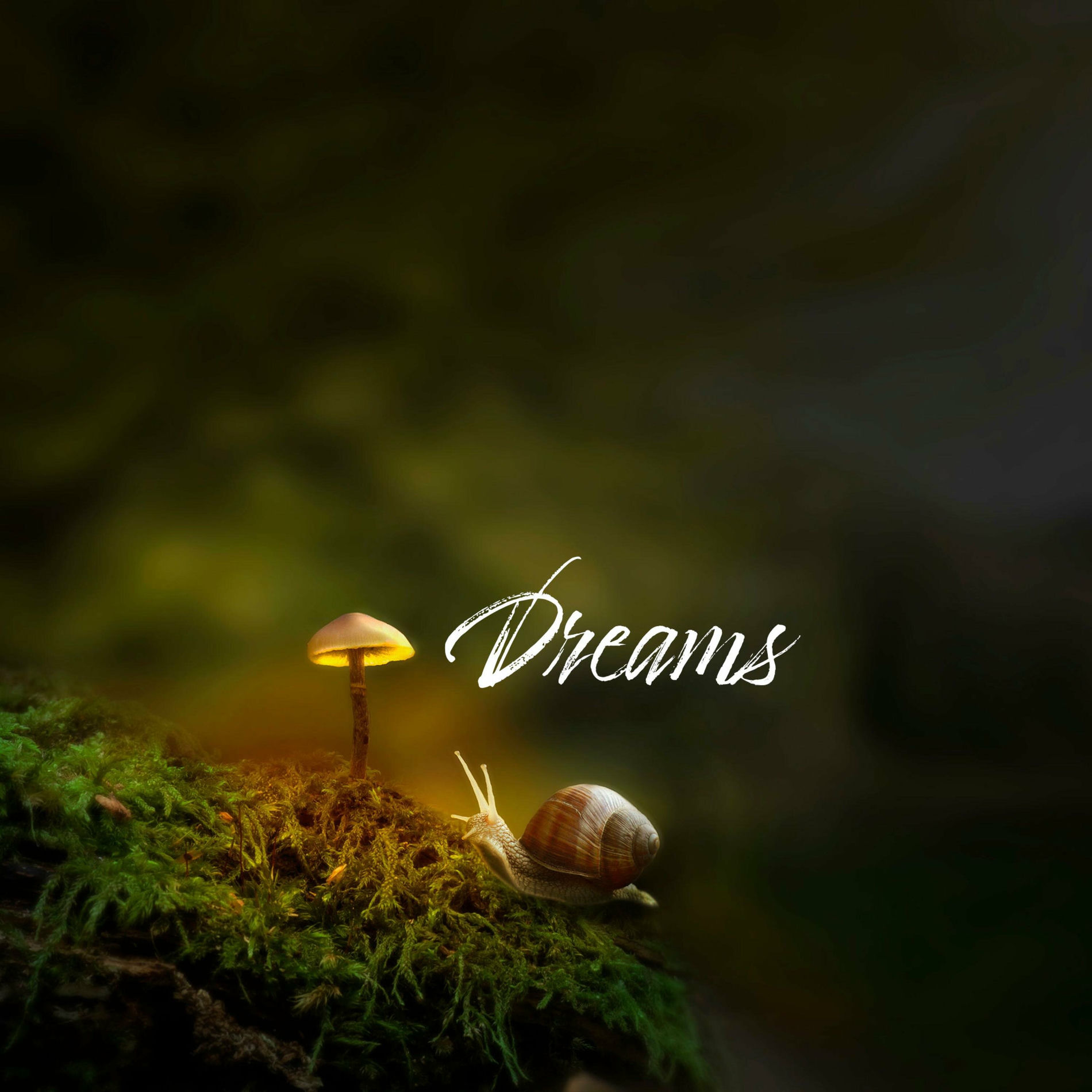 Album cover of Dreams