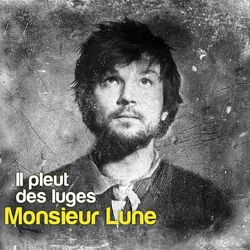 Cover of Il pleut des luges