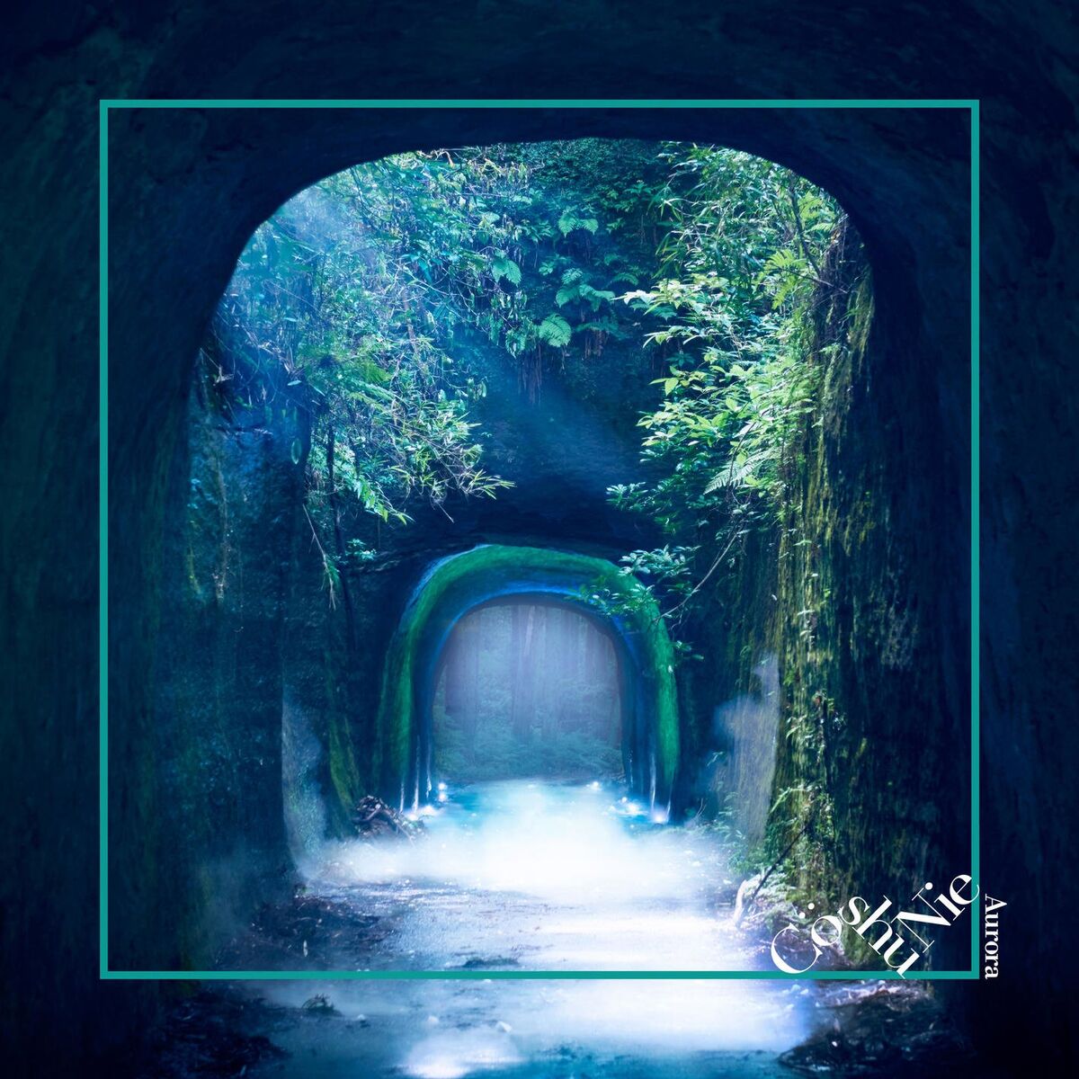 Album cover of Asura