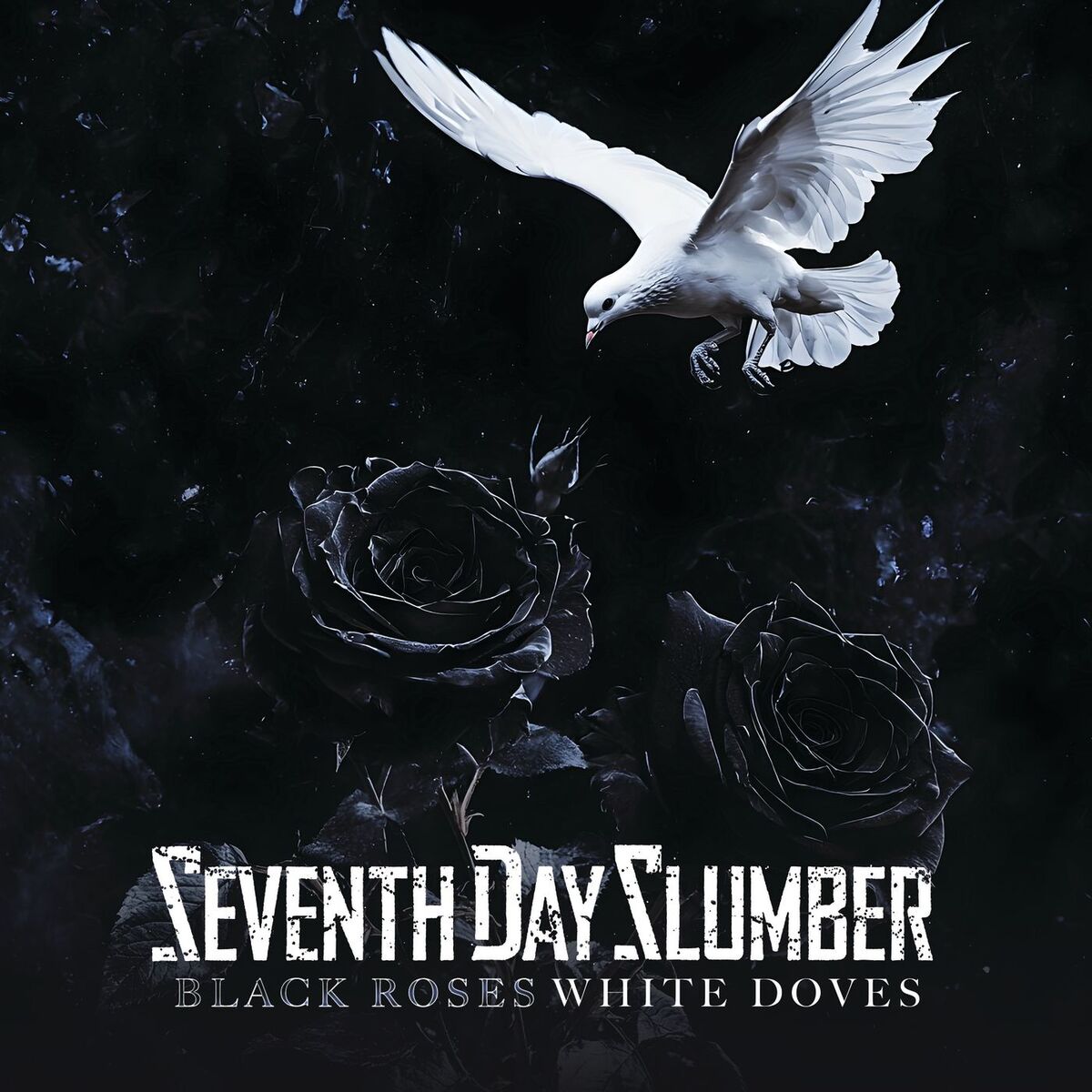 Album cover of Black Roses White Doves