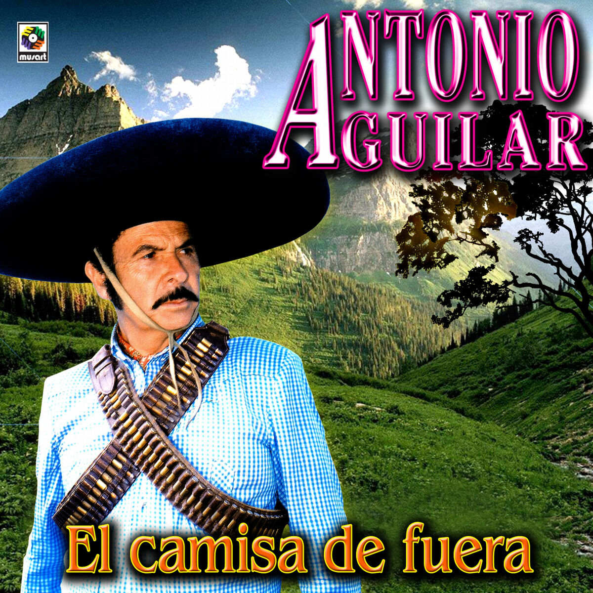 Album cover of Ni Por Mil Puñados De Oro