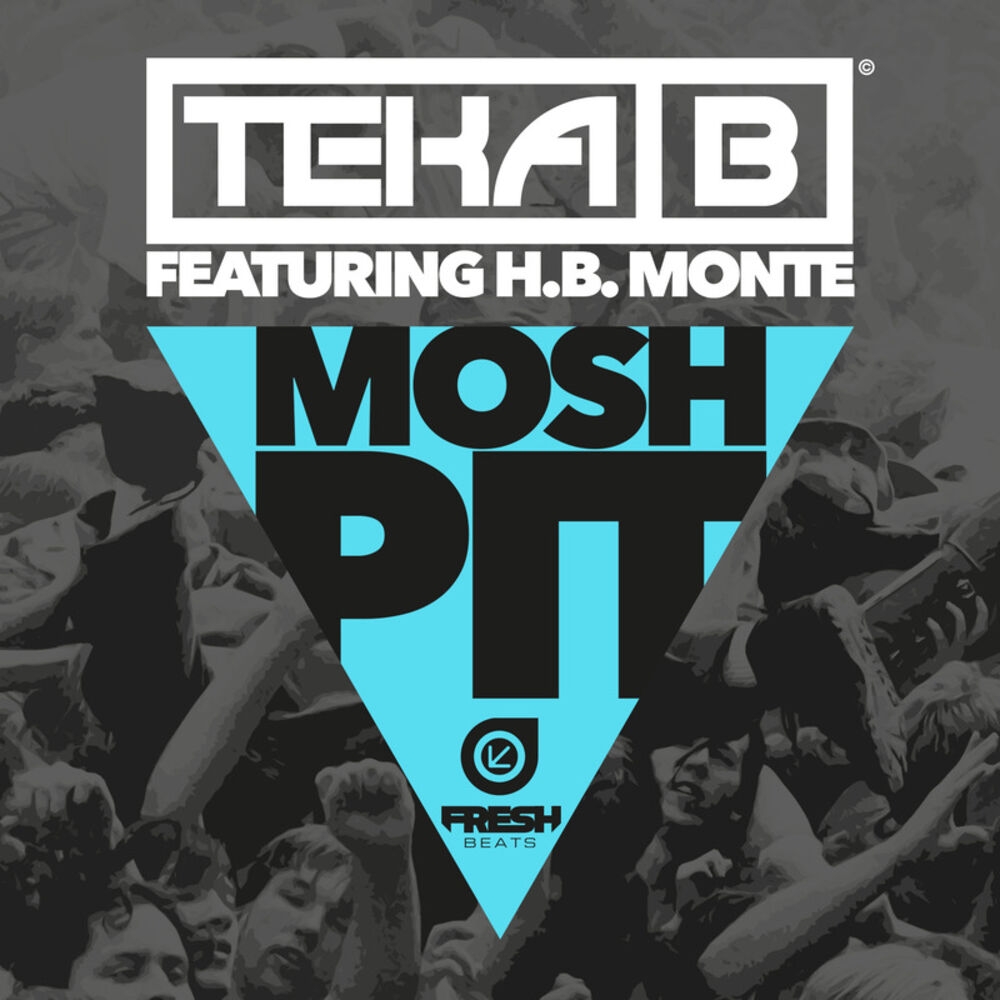 Picture of Mosh Pit