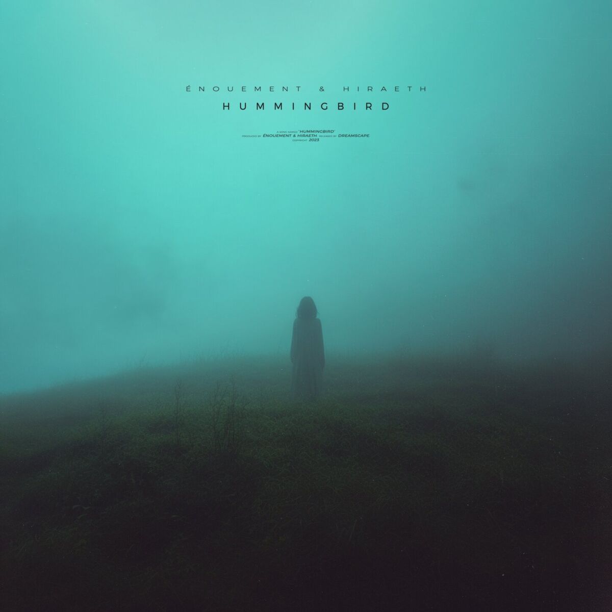 Album cover of hummingbird (remixes)