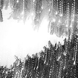 Cover of B4 AF EP