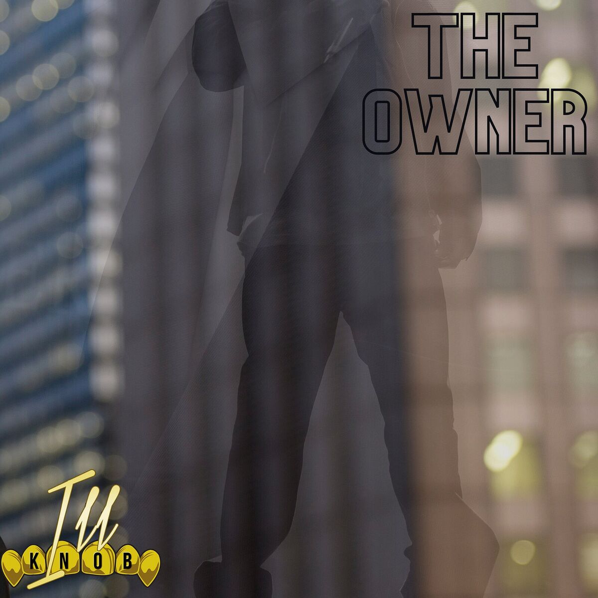 Album cover of The Owner