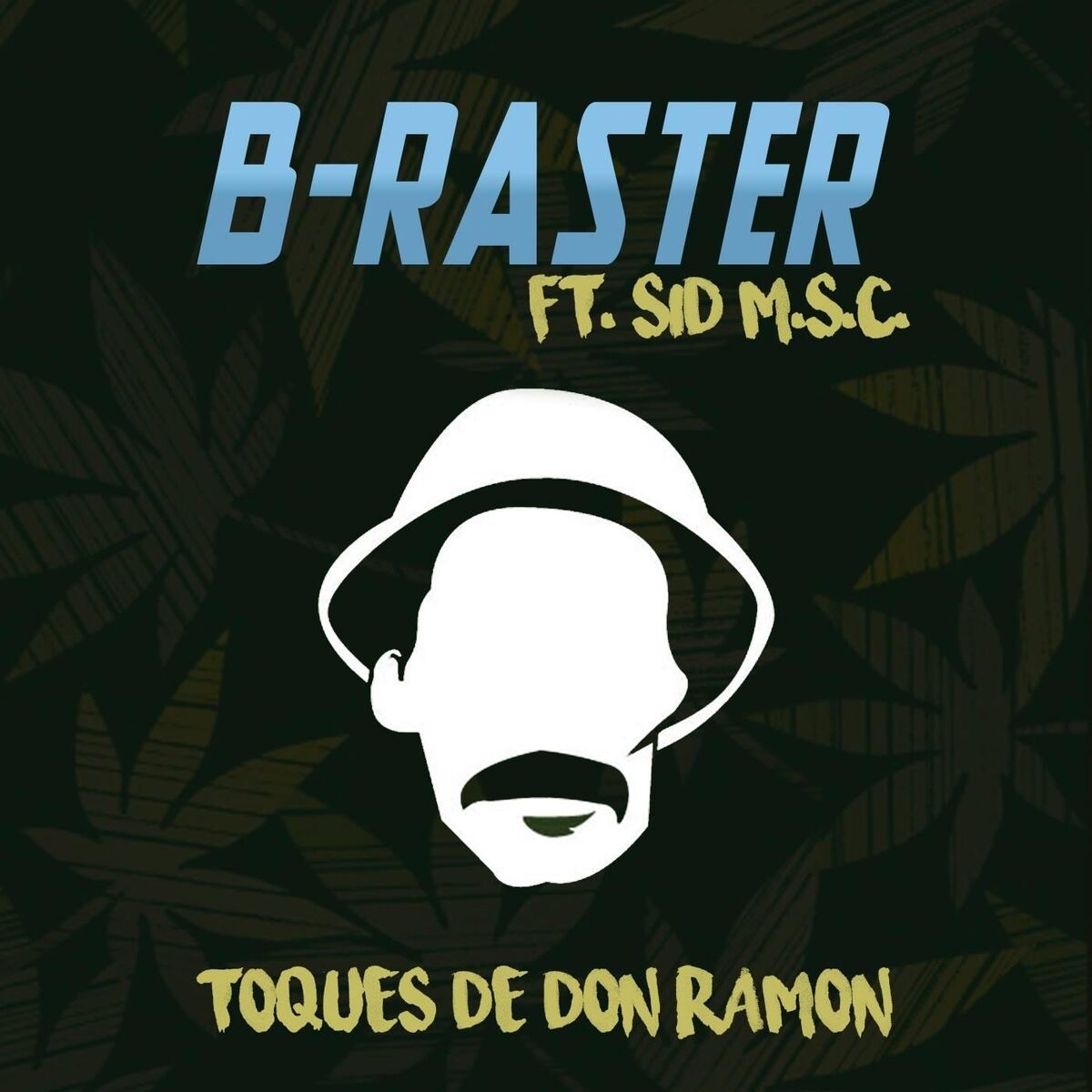 Album cover of Toques de Don Ramon