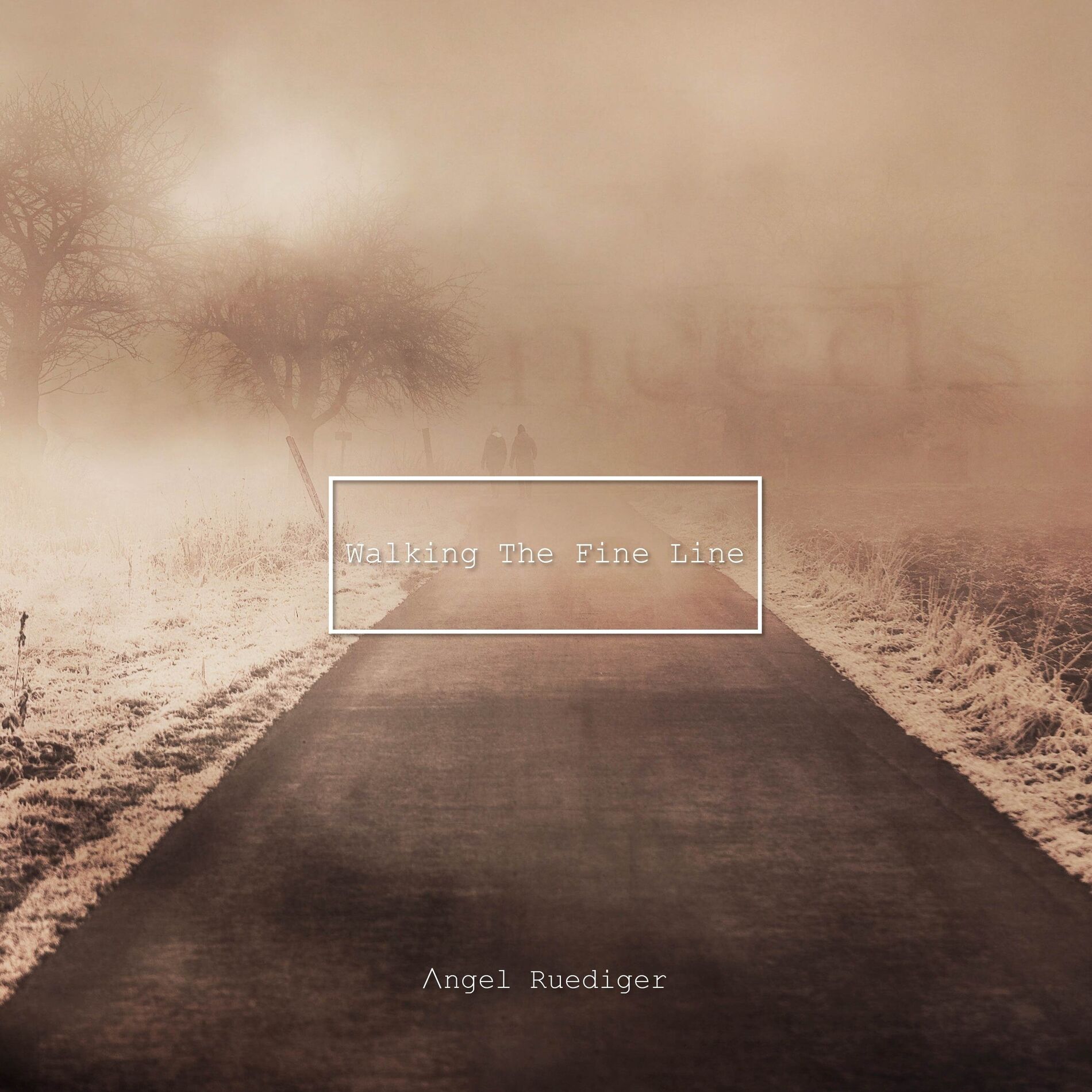 Album cover of Walking the Fine Line