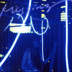 Cover of Missing