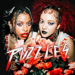 Cover of Puzzles