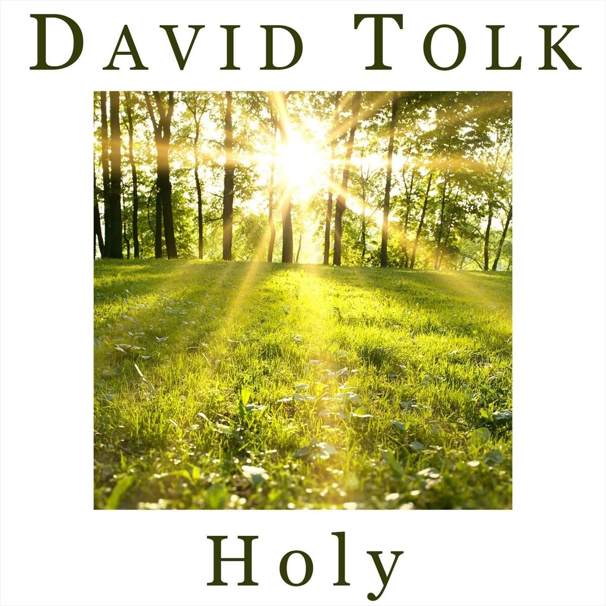 Album cover of Holy