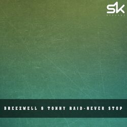 Cover of Never Stop