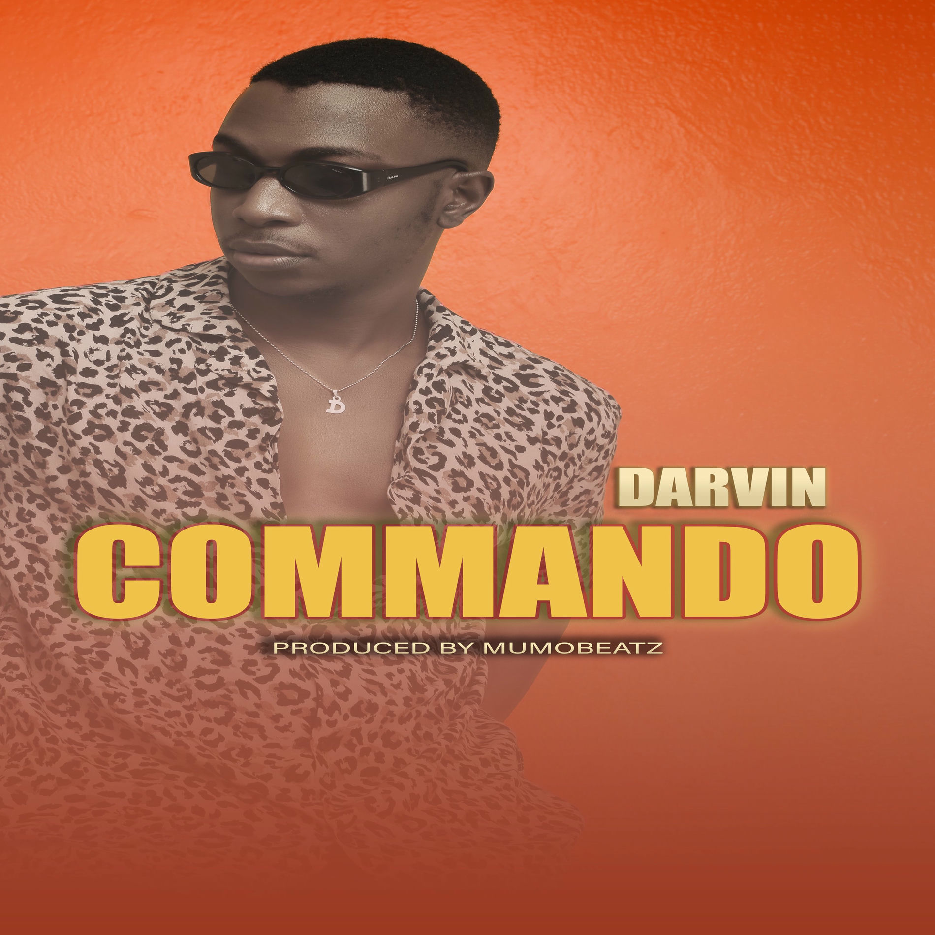 Album cover of Commando