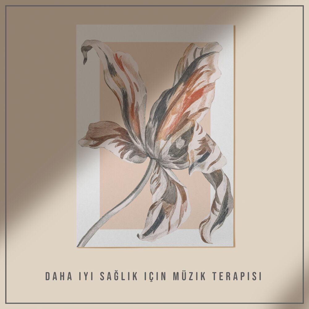 Picture of Daha Iyi Sağlık için Müzik Terapisi - Rahatlatıcı Zihin ve Beden, Doğa Sesleri, Terapötik Müzik, Rahatlatıcı Enstrümantal Müzik