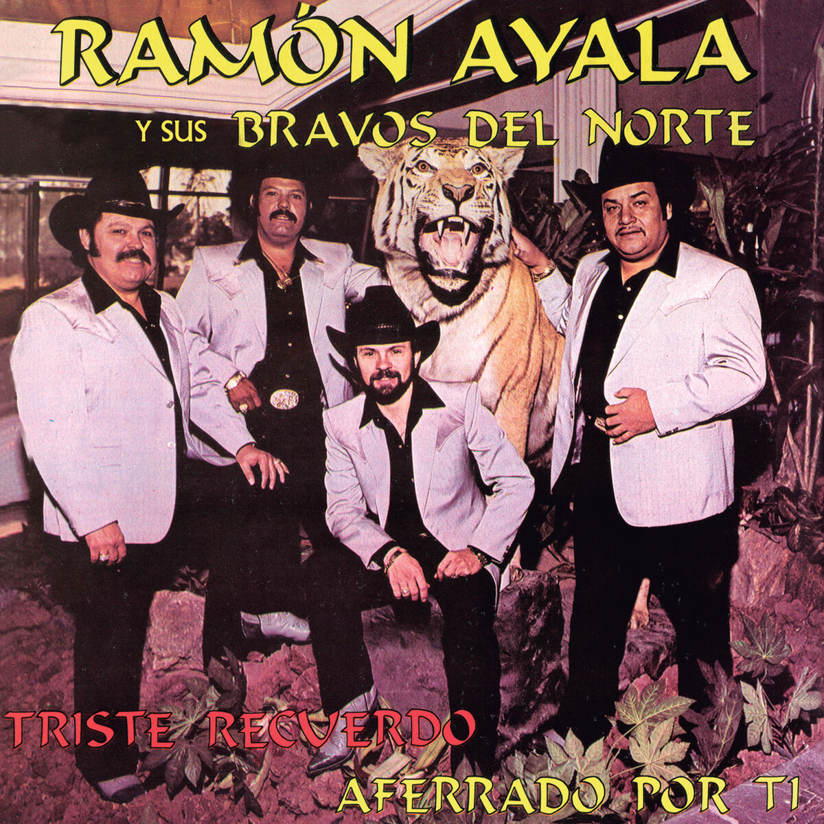 Album cover of Triste Recuerdo