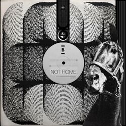 Cover of Not Home