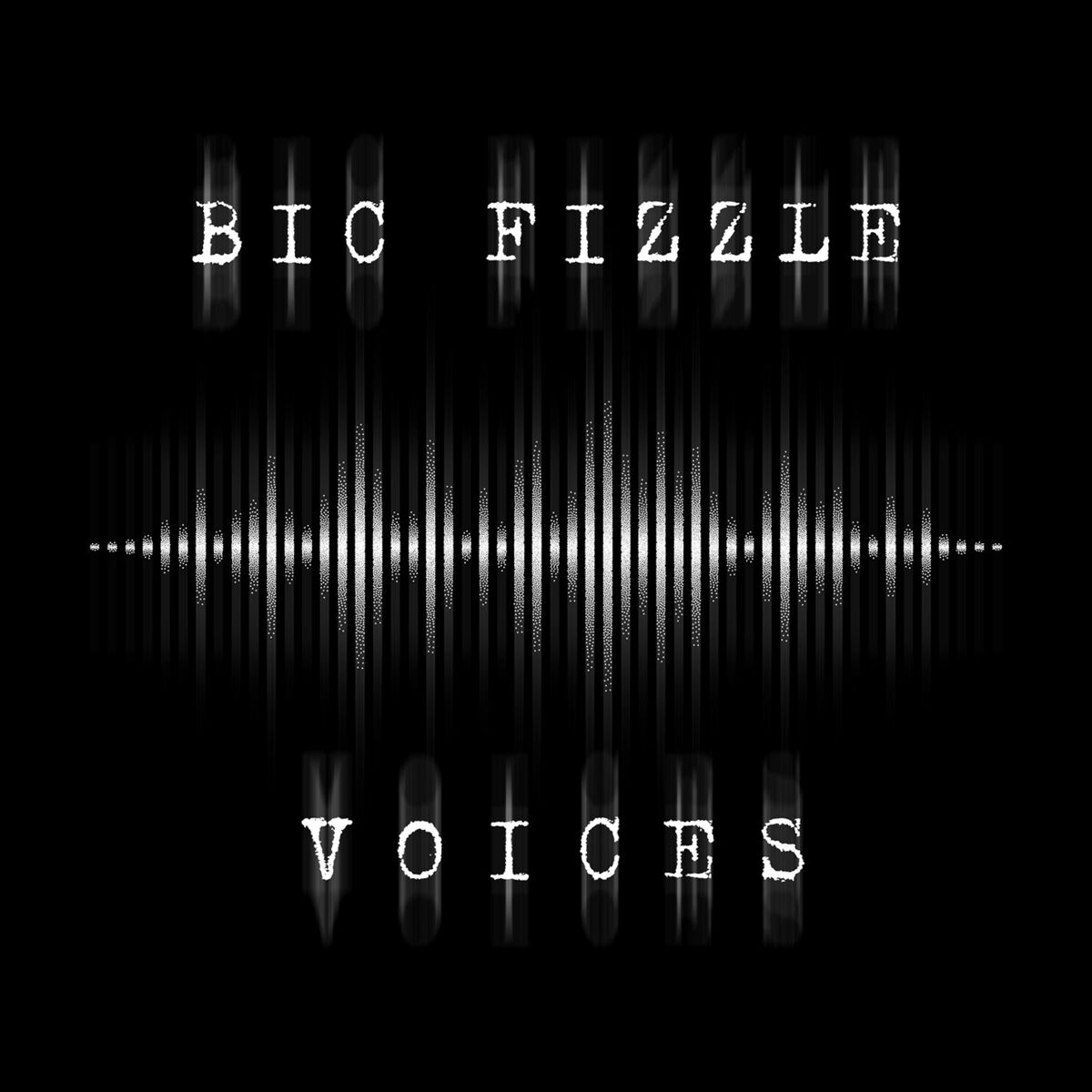 Album cover of Voices