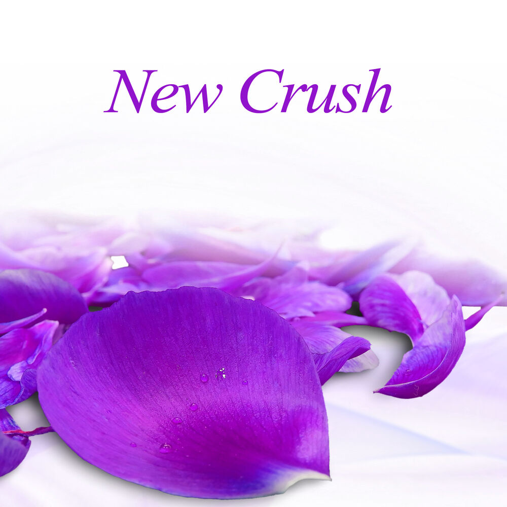 Picture of New Crush - Music of Love, Feel Love, Common Time, Best Table, Time Dating, Moonlight