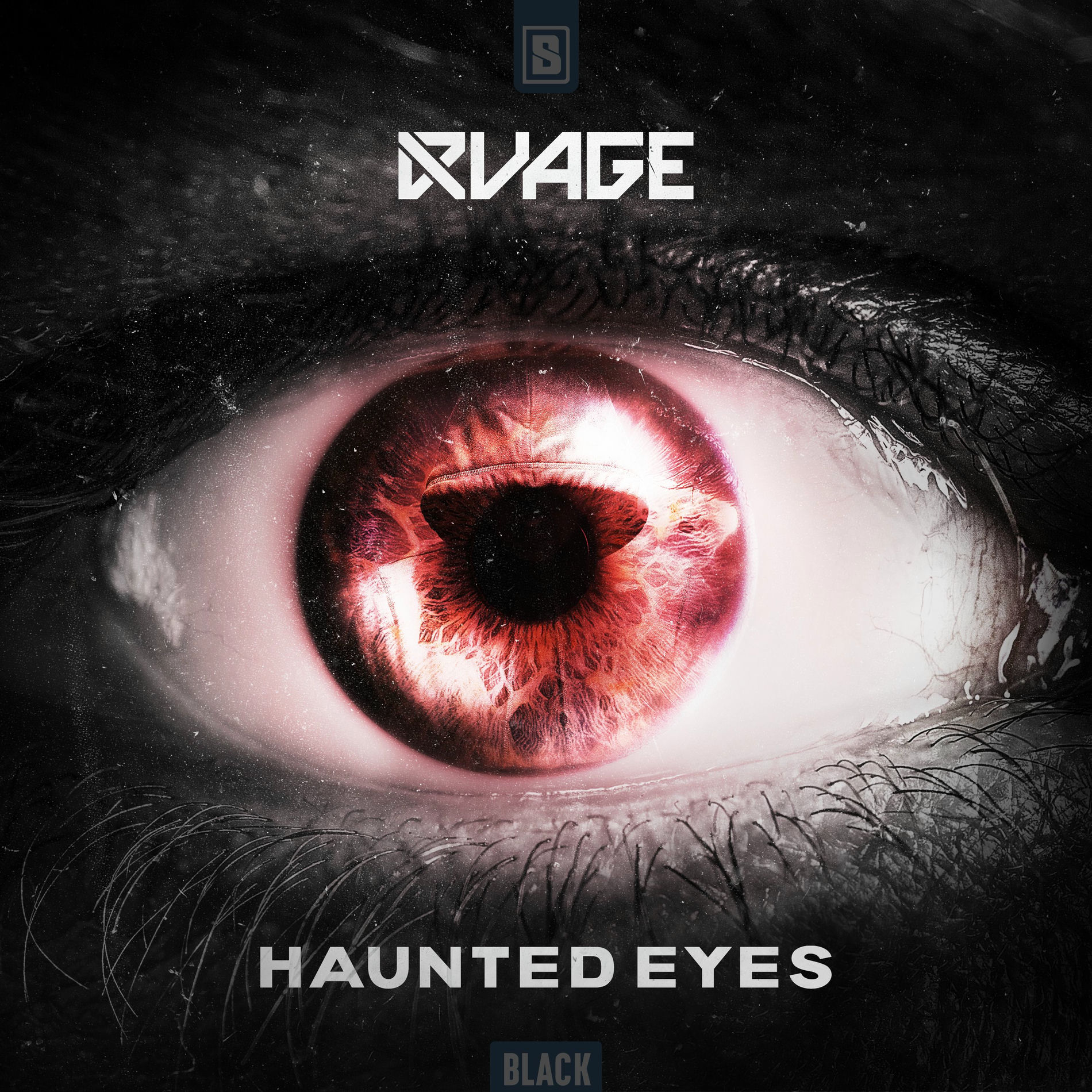 Album cover of Haunted Eyes