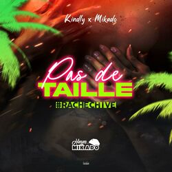 Cover of Pas De Taille