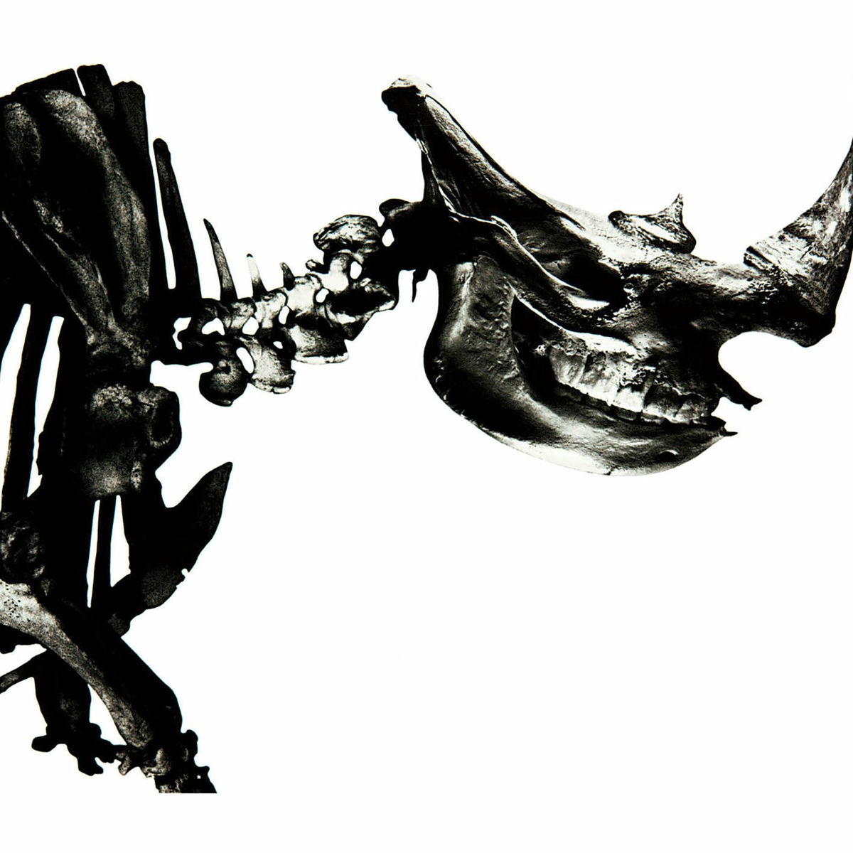 Album cover of Mr.Children 1996-2000