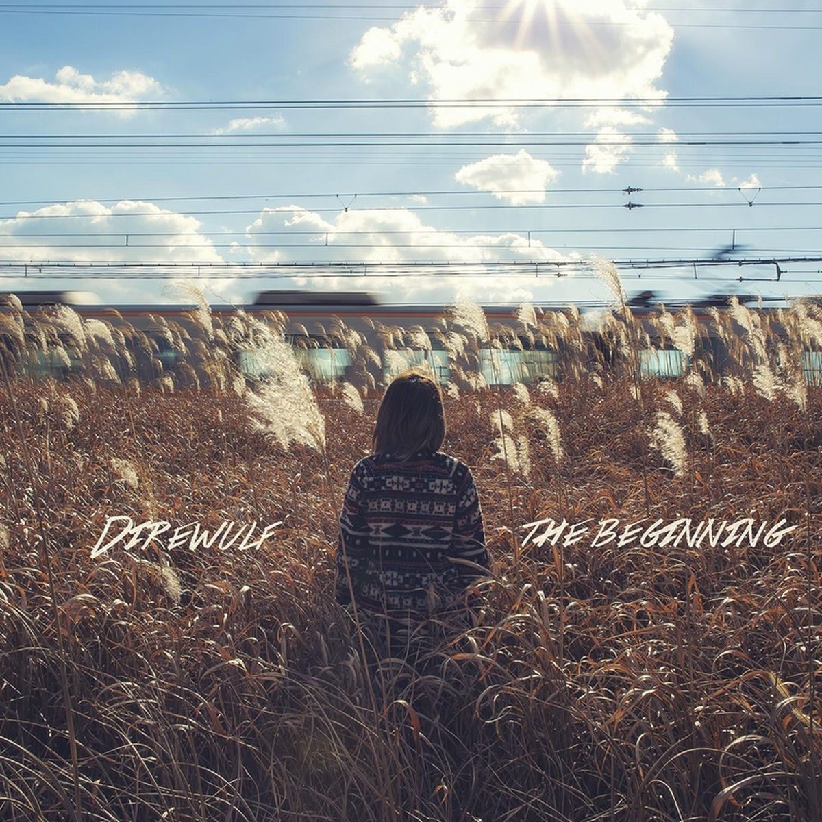 Album cover of The Beginning - EP