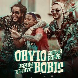 Cover of Obvio Bobis