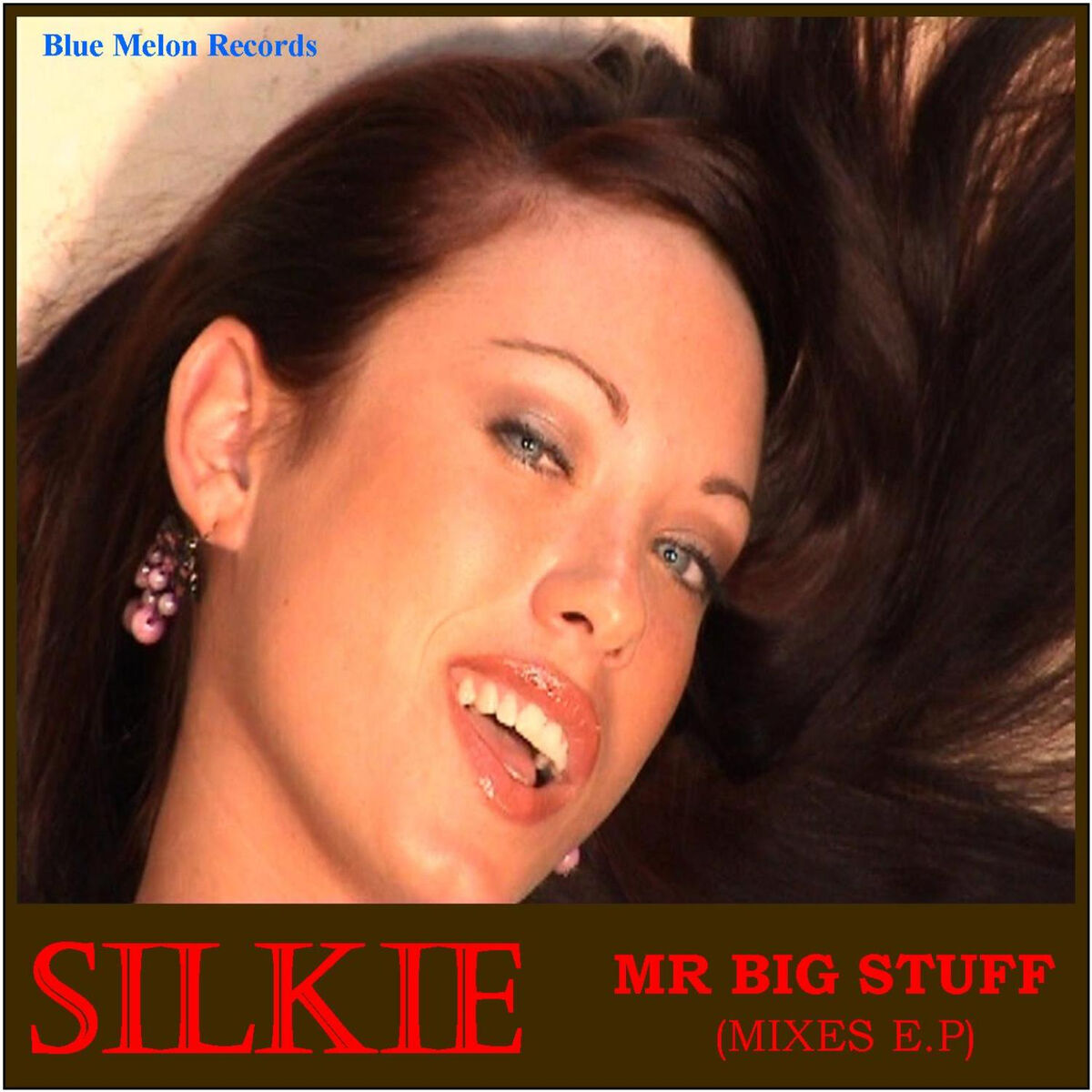 Album cover of Mr. Big Stuff Mixes EP