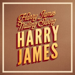 Cover of Nailing Swing